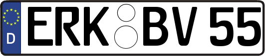 ERK-BV55