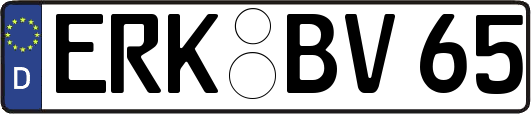 ERK-BV65