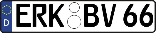 ERK-BV66