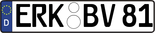 ERK-BV81