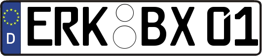 ERK-BX01
