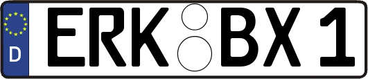 ERK-BX1