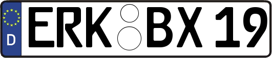 ERK-BX19