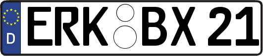 ERK-BX21