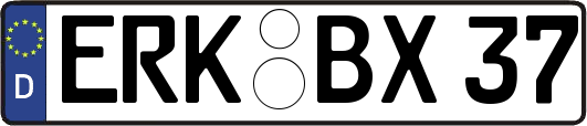 ERK-BX37
