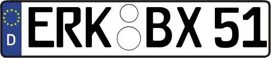 ERK-BX51