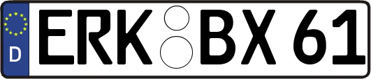 ERK-BX61
