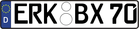 ERK-BX70