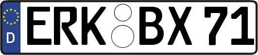 ERK-BX71
