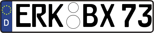 ERK-BX73
