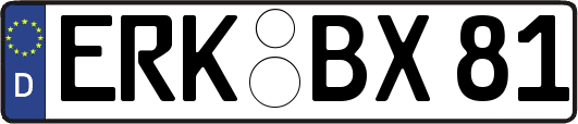 ERK-BX81