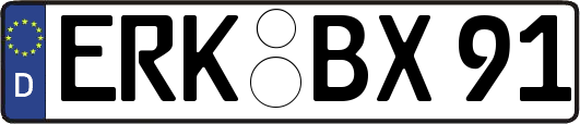 ERK-BX91