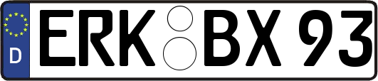 ERK-BX93