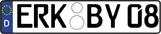 ERK-BY08