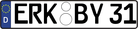 ERK-BY31