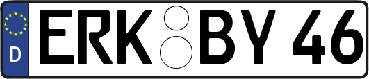 ERK-BY46