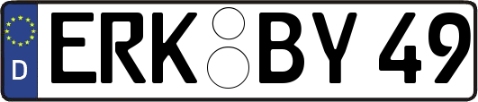 ERK-BY49