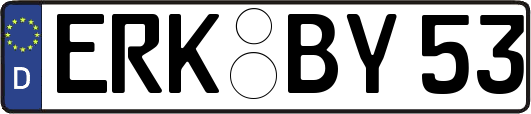 ERK-BY53