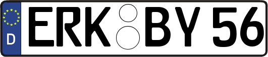 ERK-BY56