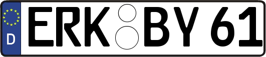 ERK-BY61
