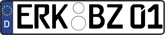 ERK-BZ01