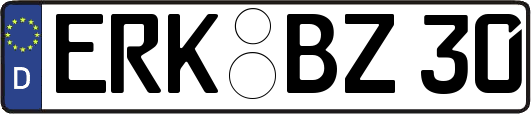 ERK-BZ30