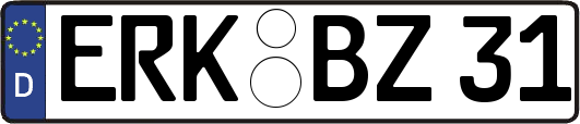 ERK-BZ31