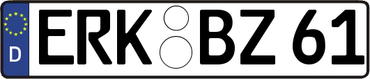 ERK-BZ61