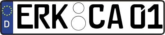ERK-CA01