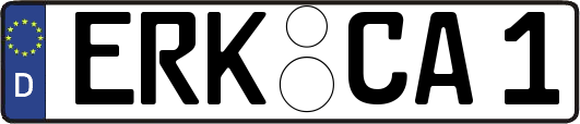 ERK-CA1