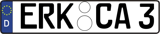 ERK-CA3