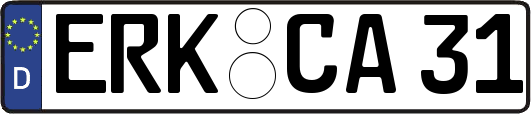 ERK-CA31