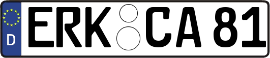 ERK-CA81
