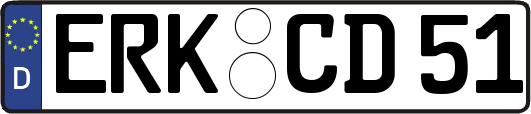 ERK-CD51