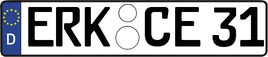 ERK-CE31