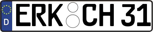 ERK-CH31