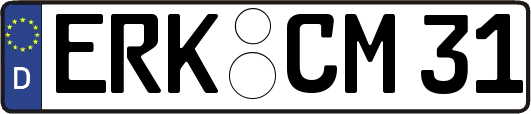 ERK-CM31
