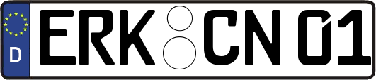 ERK-CN01
