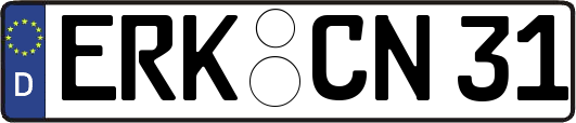 ERK-CN31