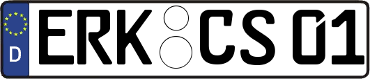 ERK-CS01