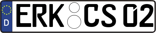 ERK-CS02