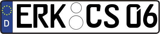 ERK-CS06