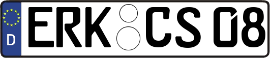 ERK-CS08