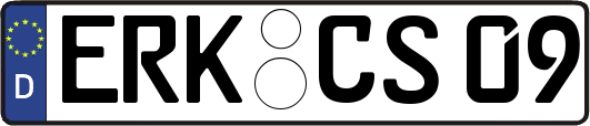 ERK-CS09