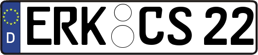 ERK-CS22