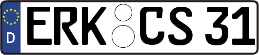 ERK-CS31
