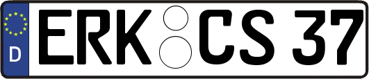 ERK-CS37