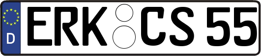ERK-CS55