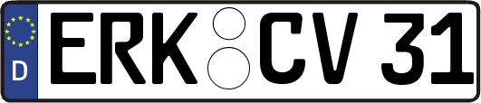 ERK-CV31