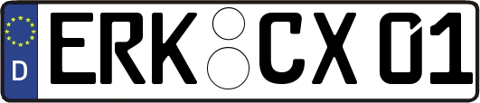 ERK-CX01